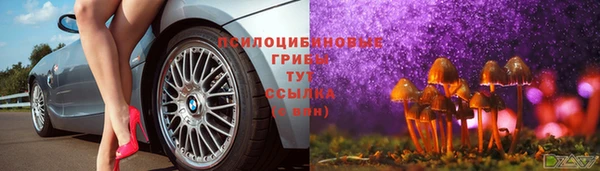 круглые Алексин