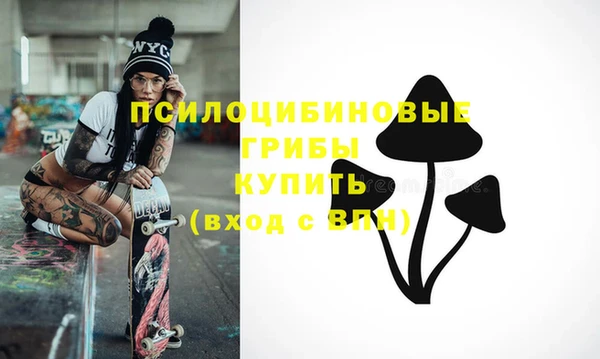 ECSTASY Абинск