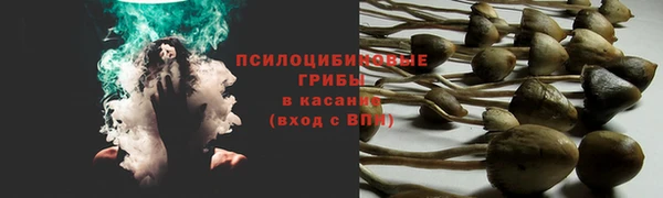 ECSTASY Абинск